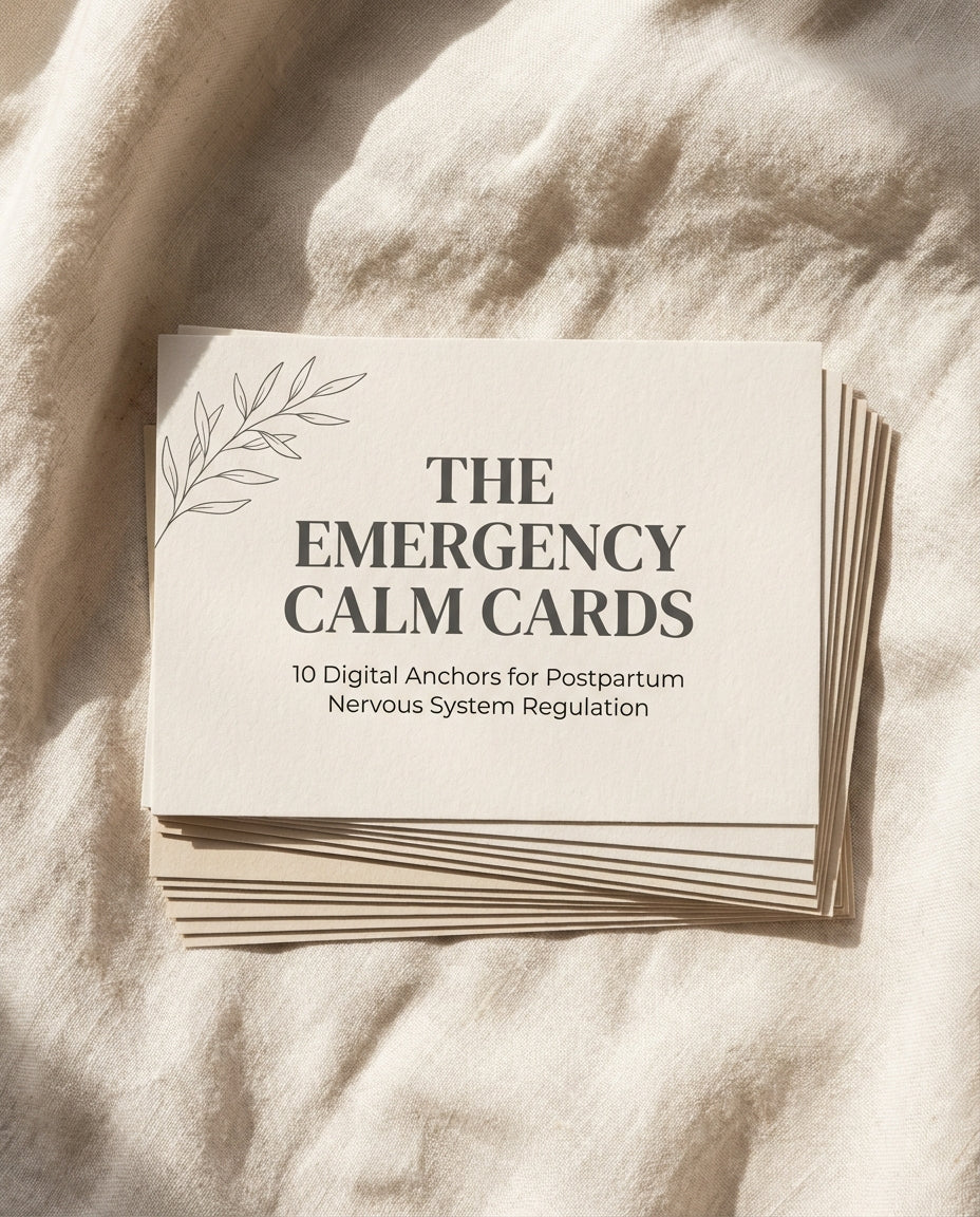 Soft Hold — Digital Guide + 3 Free Bonuses + calm cards + sanctuary shields